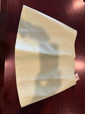 Tuckernuck Faux Leather Skater Mini Skirt in Mint Green